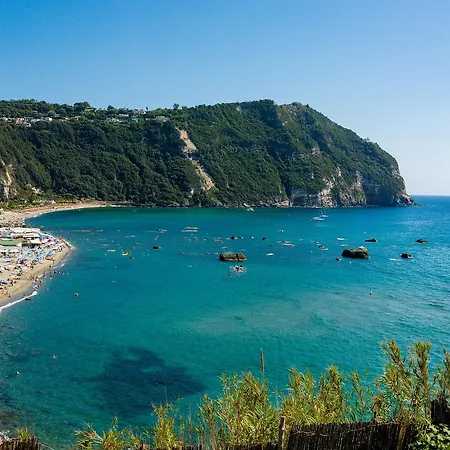 Appartamento Al Mare - Famiglia Calise Forio di Ischia